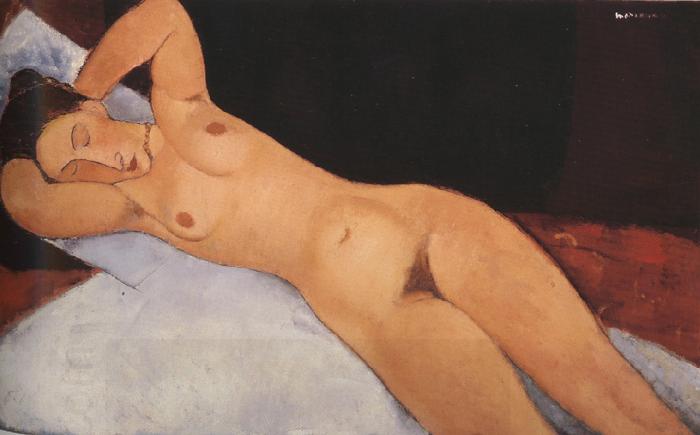 Amedeo Modigliani Nude (mk39) oil painting picture